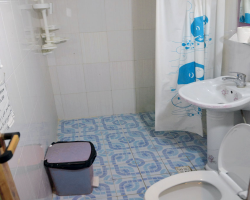 سرویش بهداشتی